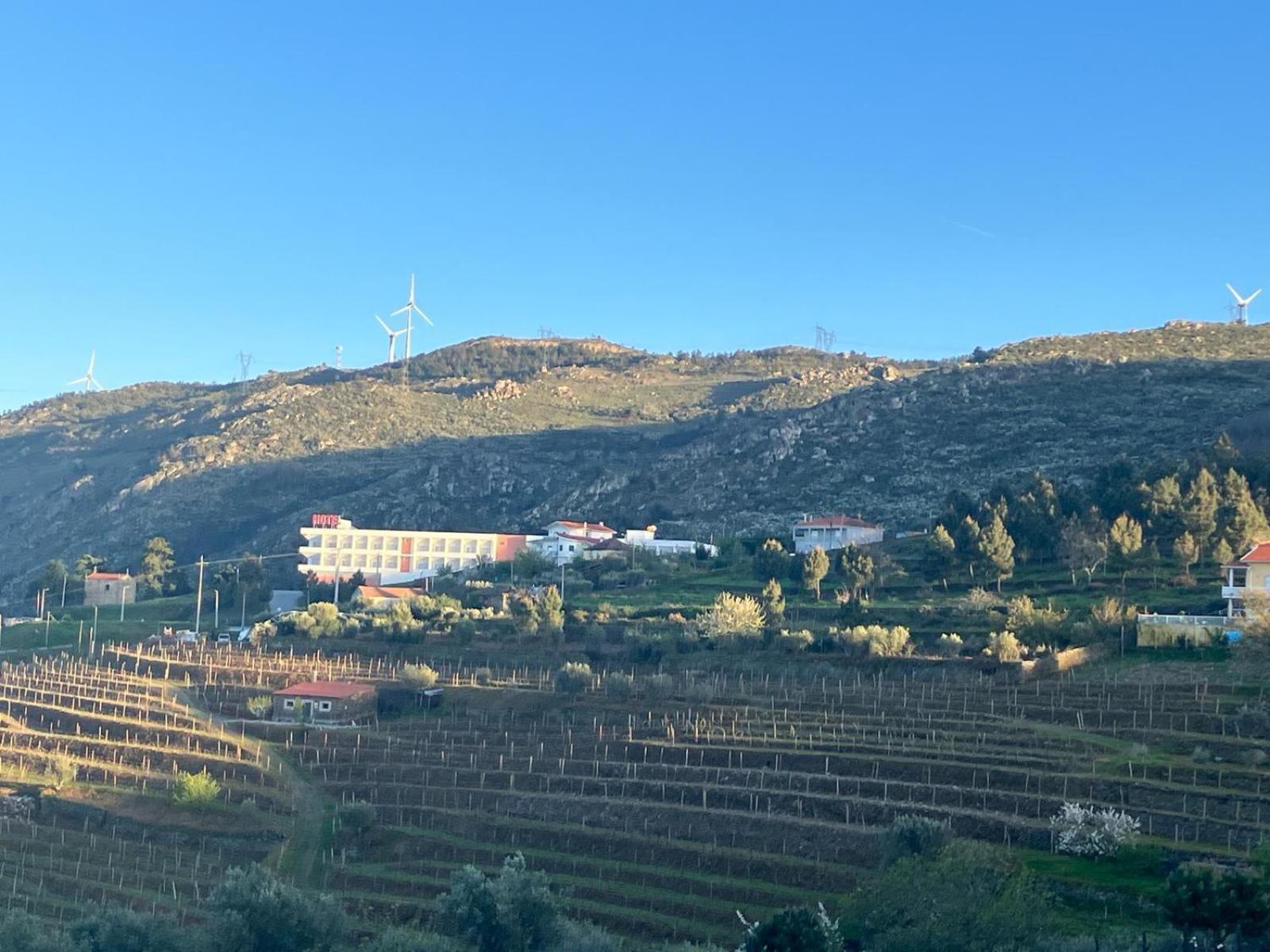 Placido Hotel Douro - Tabuaco Exterior photo